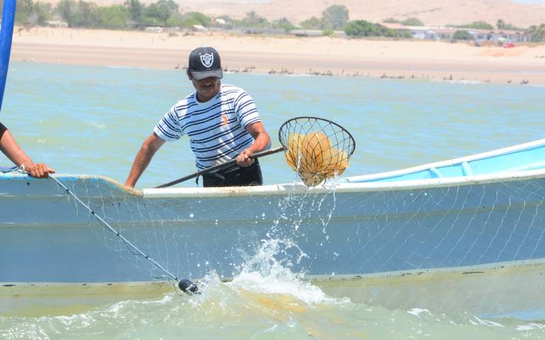 Viaje de Pesca con Trasmallo Aguadero. Golfo Nicoya 