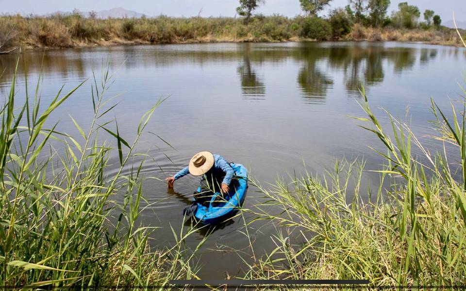 ¡Corre agua por el Río Colorado! - Tribuna de San Luis | Noticias Locales,  Policiacas, sobre México, Sonora y el Mundo