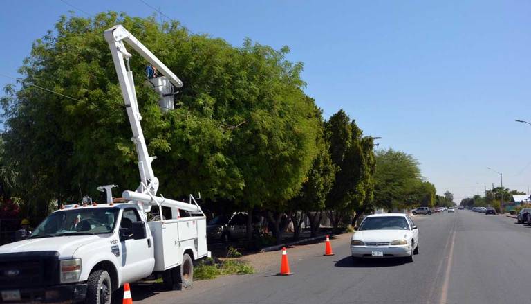 Personal de la CFE poda árboles como precaución san luis rio colorado -  Tribuna de San Luis | Noticias Locales, Policiacas, sobre México, Sonora y  el Mundo