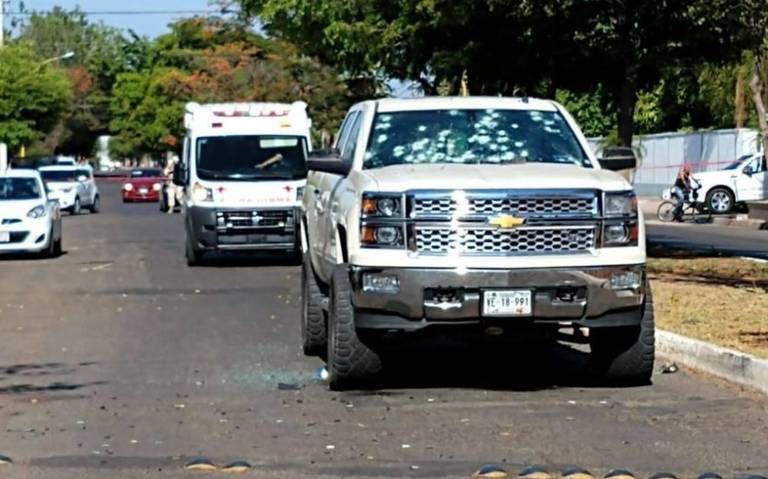 Encuentran cocodrilo en colonia de Mexicali Baja California - Tribuna de  San Luis | Noticias Locales, Policiacas, sobre México, Sonora y el Mundo